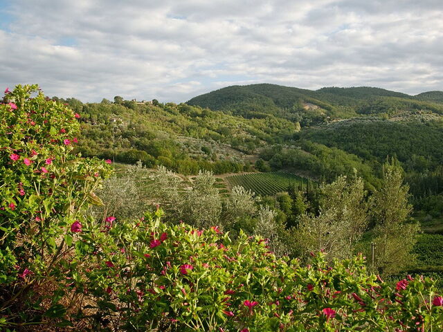 Montefioralle, landscape