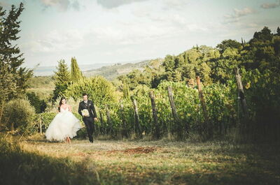 Fattoria di Quercia al Poggio, vineyard