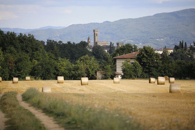 Views around Villa Agata