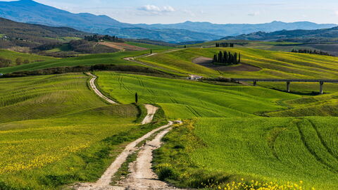 Country roads in Tuscany