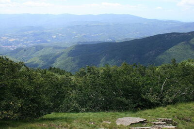 Countryside around Arezzo