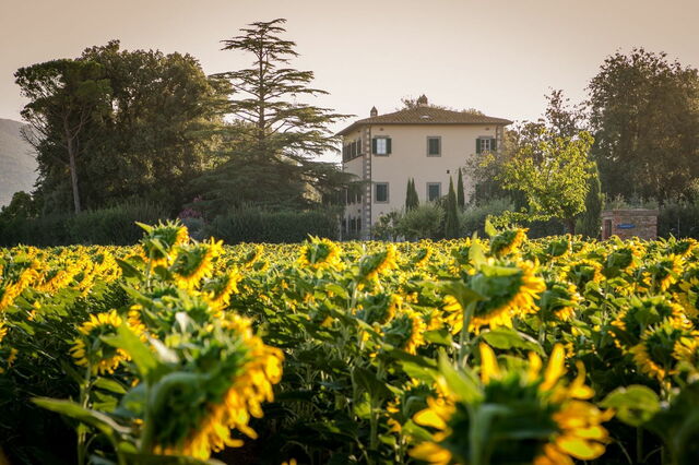 Villa Ivana