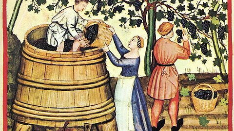 medieval grape harvest