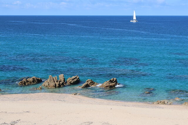 A beach on Elba