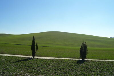 view of val di orcia road