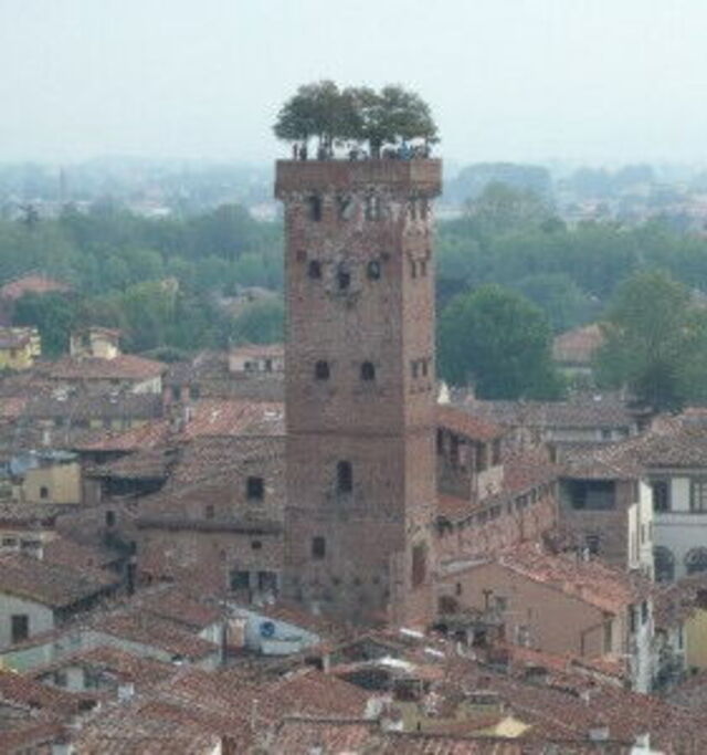 Lucca Torre Guinigi