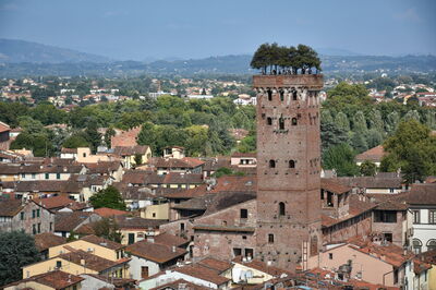 Torre Guinigi