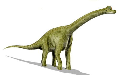 brachiosaurus