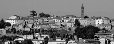 Peccioli Landscape b&w
