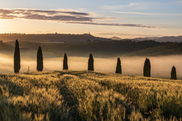 A foggy landscape in Tuscany