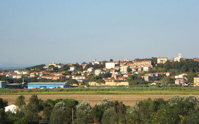 View of Collesalvetti