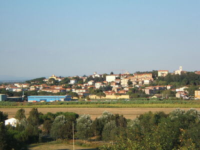 View of Collesalvetti