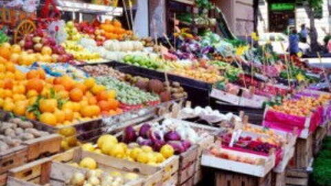 Food Market in Tuscany