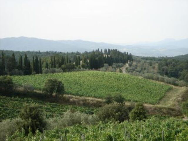 View of Val di Chiana
