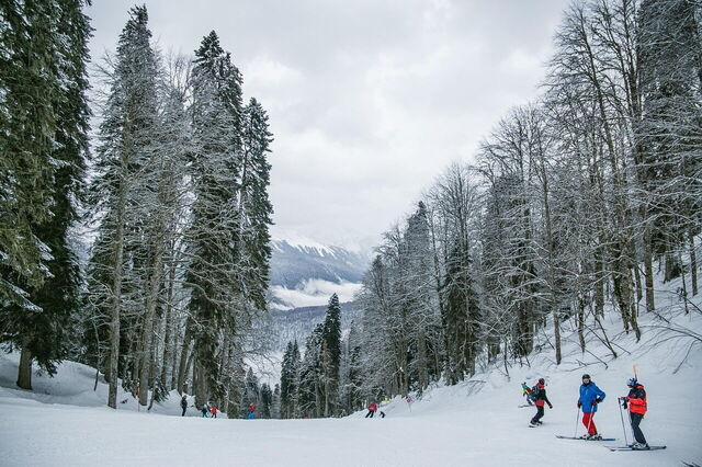 Skiing in the woods