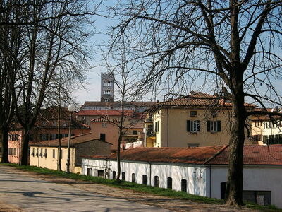 Walls of Lucca, views