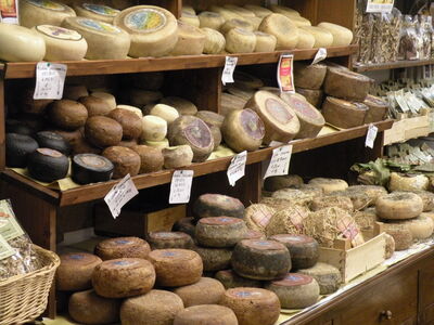 Selection of pecorino varieties