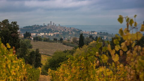 View of San Gimignano