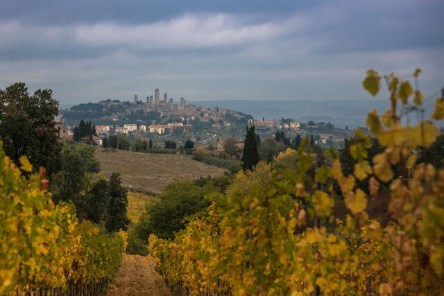 View of San Gimignano
