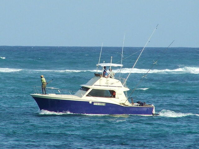 Boat fishing at sea
