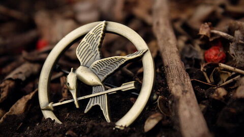 Hunger Games Mockingjay pin