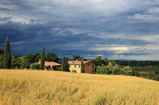 Tuscan landscape