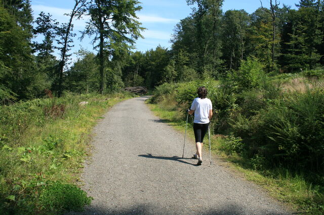 nordic walking trail