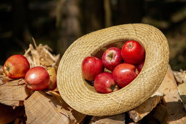 Straw hat