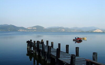 Lake Massaciuccoli view