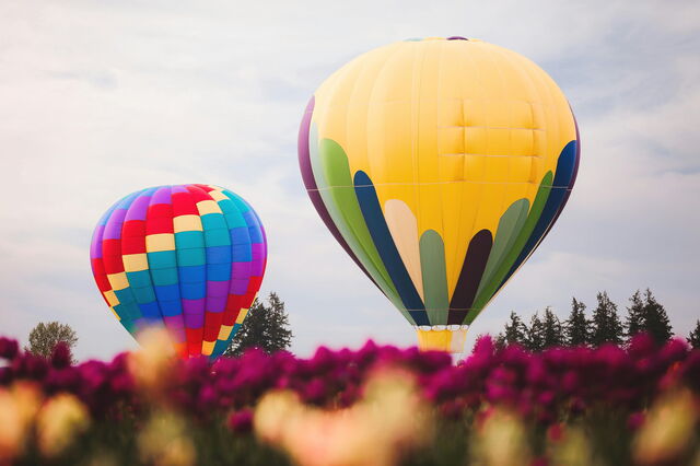 Hot air balloon