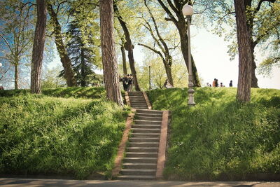 Pretty walkway in Lucca