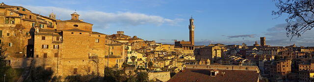 Siena view