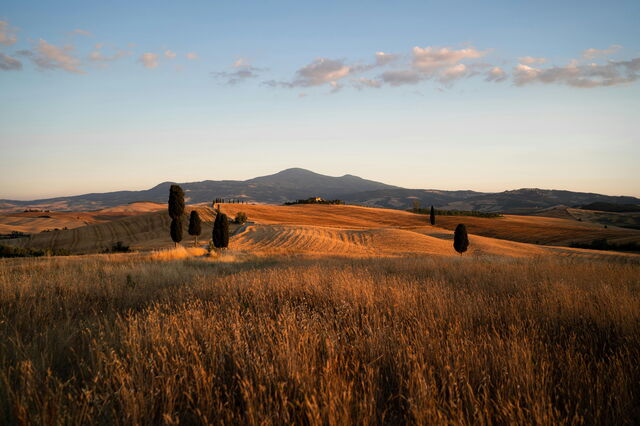Scenery in Montalcino