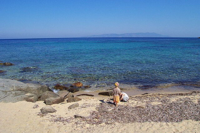 coast of giglio island