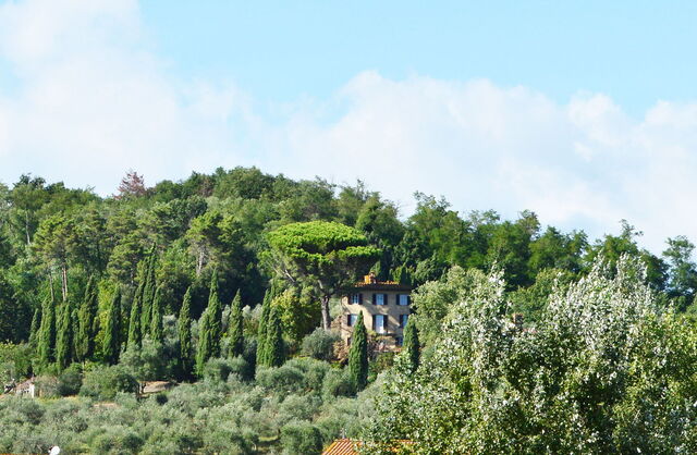 Al Fannuchi