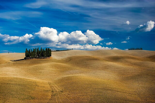 Tuscan landscape