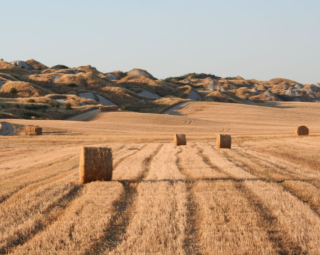 Tuscany Villas Staff