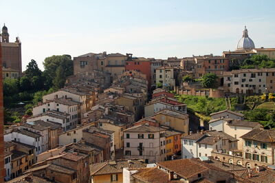 Siena