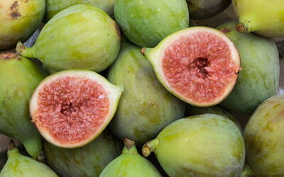 Figs
