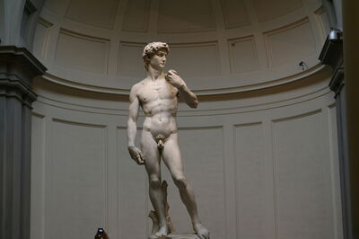 Michelangelo's David