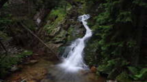 A fresh spring bursting out of the mountain