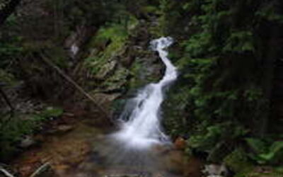 A fresh spring bursting out of the mountain