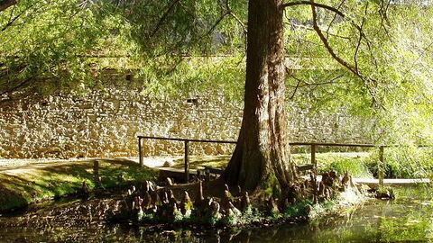 The lake where the Devil passed through with Lucida