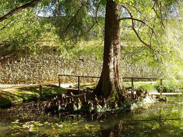 The lake where the Devil passed through with Lucida