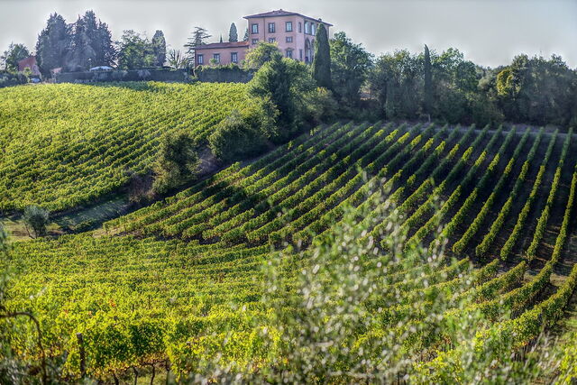 Landscape around Volterra