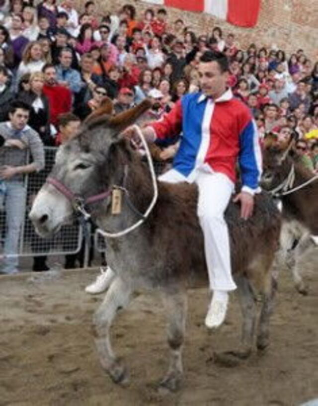 Palio dei Somari