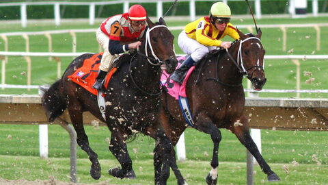 horse racing tuscany