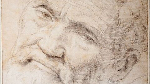 Michelangelo drawing