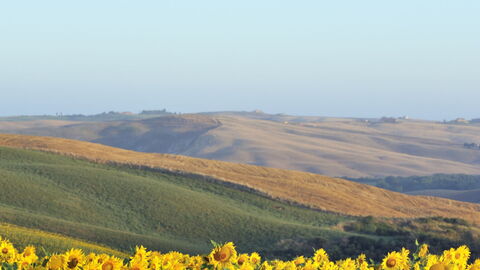 Romantic hot air balloon ride