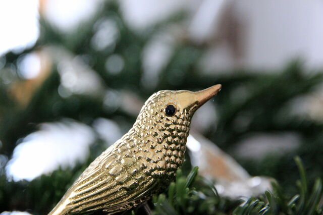 Golden bird